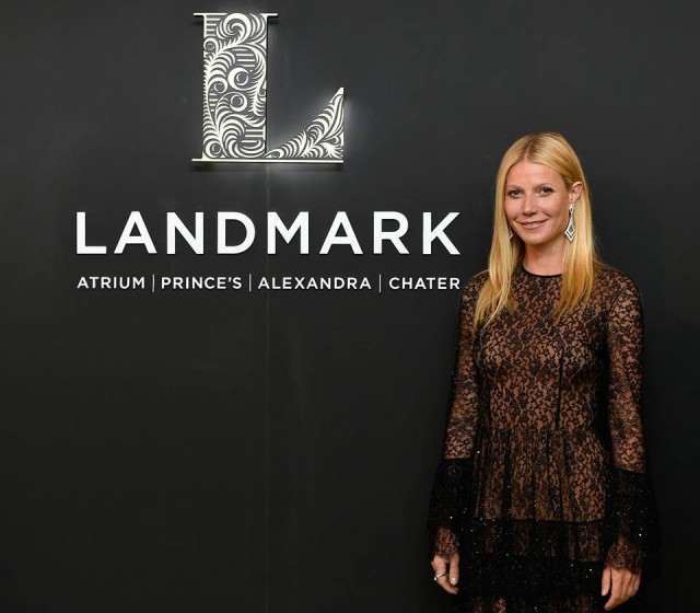 Gwyneth Paltrow Fotoğrafı