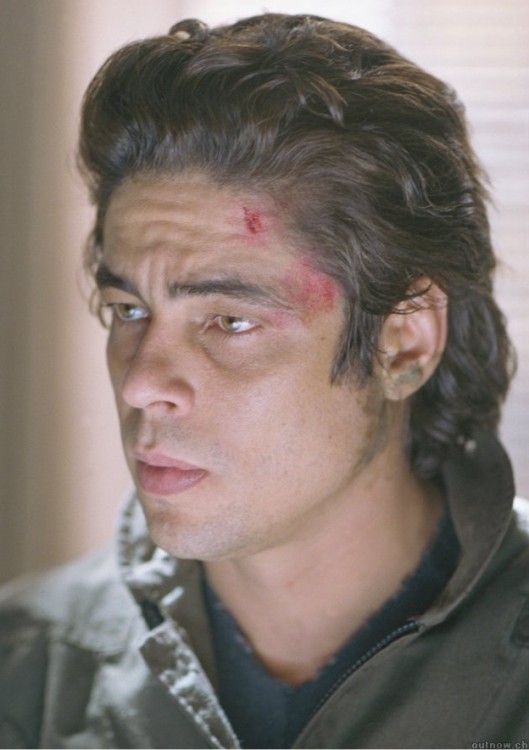 Benicio Del Toro Fotoğrafları 16