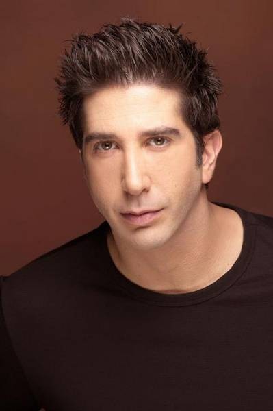 David Schwimmer Fotoğrafları 13