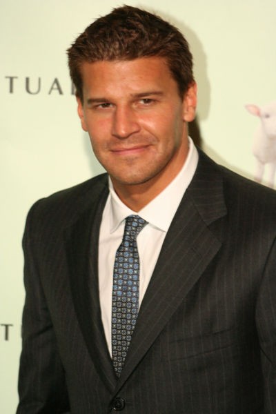 David Boreanaz Fotoğrafları 2