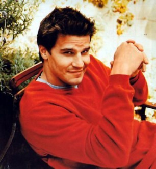 David Boreanaz Fotoğrafları 22