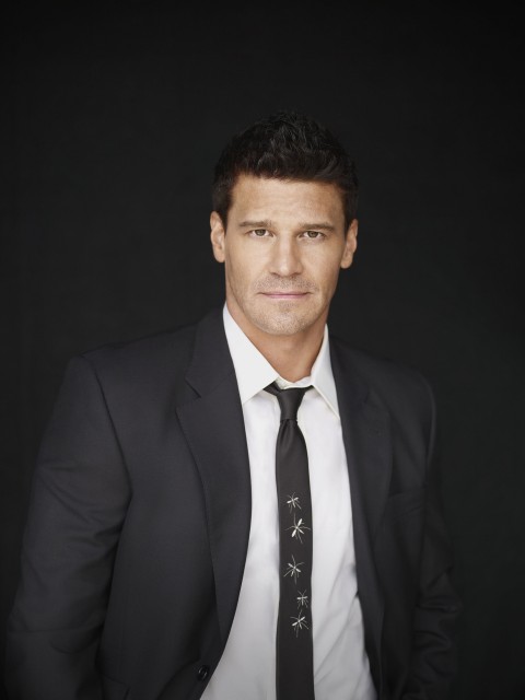 David Boreanaz Fotoğrafları 23