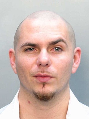 Pitbull Fotoğrafları 4