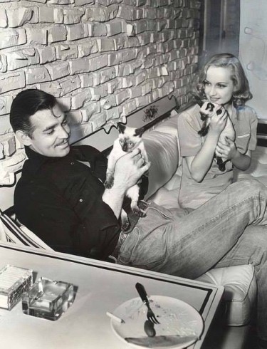 Clark Gable fotoğrafı