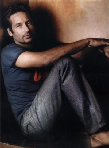 David Duchovny Fotoğrafları 10