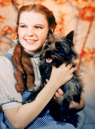 Judy Garland Fotoğrafları 1