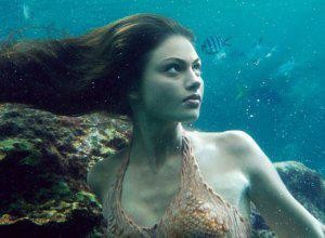 Phoebe Tonkin Fotoğrafı