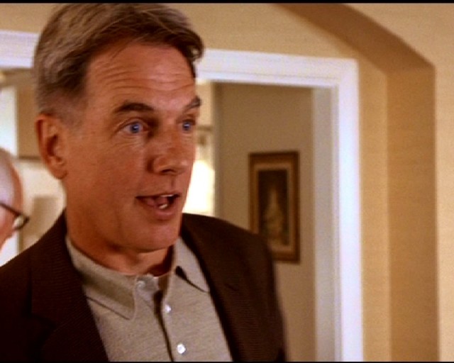 Mark Harmon Fotoğrafları 1