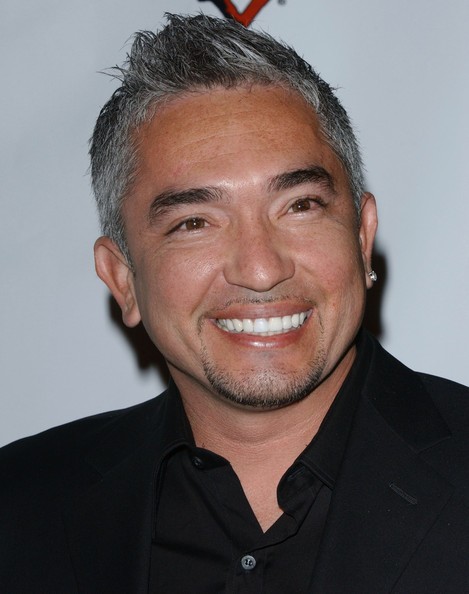 Cesar Millan Fotoğrafları 21