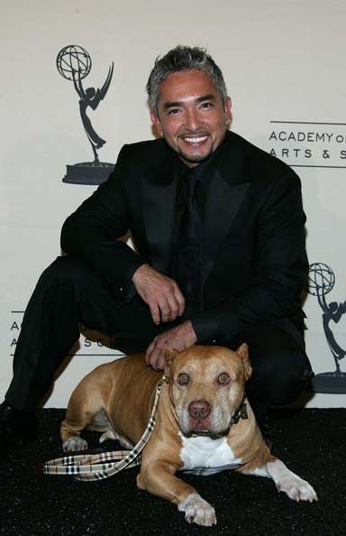 Cesar Millan Fotoğrafları 45