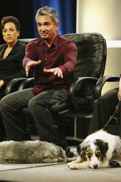 Cesar Millan Fotoğrafları 46