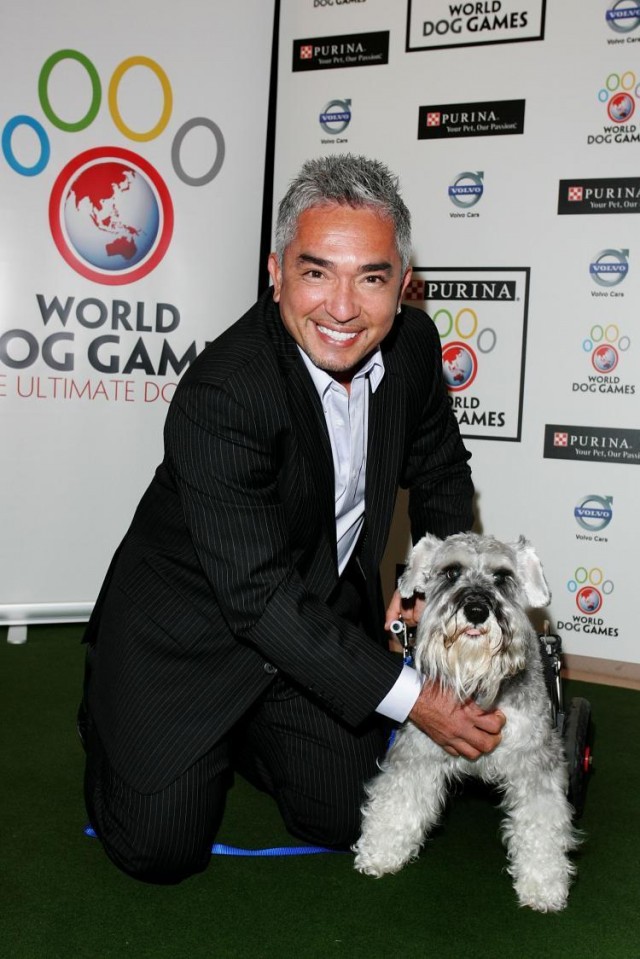 Cesar Millan Fotoğrafları 58