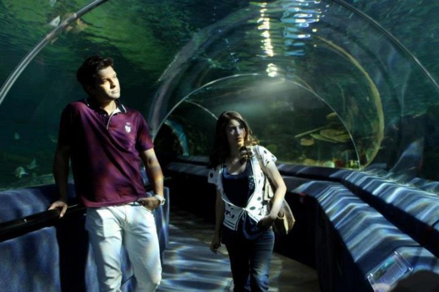 Hazal Kaya Fotoğrafı