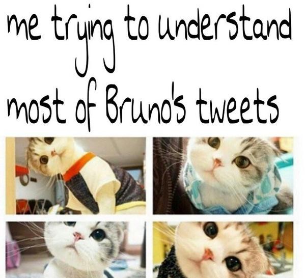 Bruno Mars Fotoğrafı