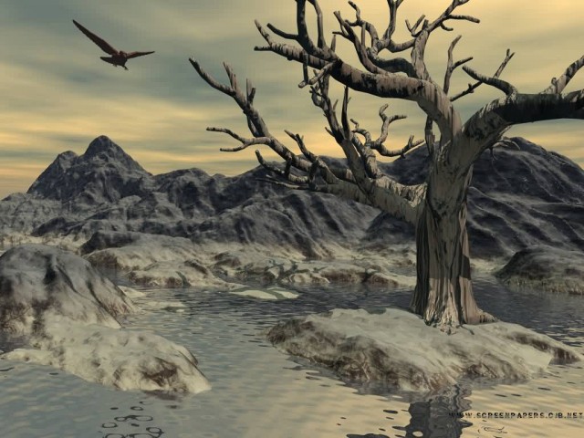 Asif Iqbal Fotoğrafı