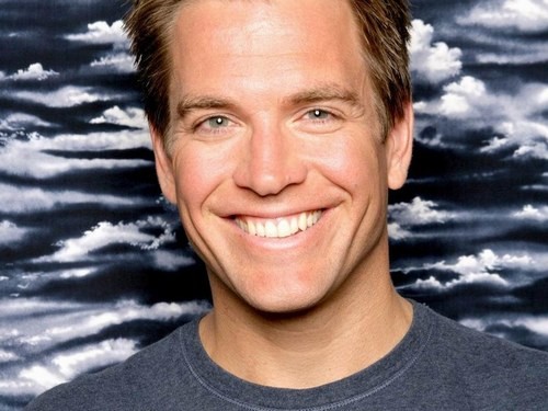 Michael Weatherly Fotoğrafları 45