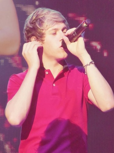 Niall Horan Fotoğrafı