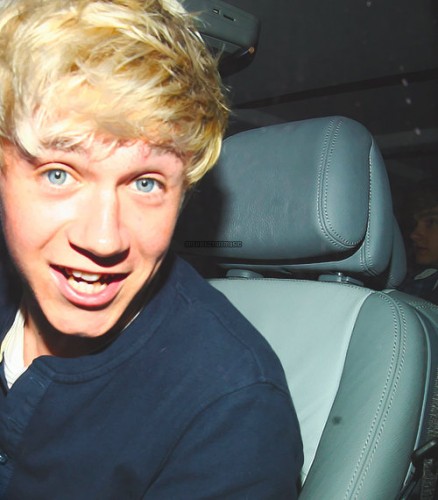Niall Horan Fotoğrafı