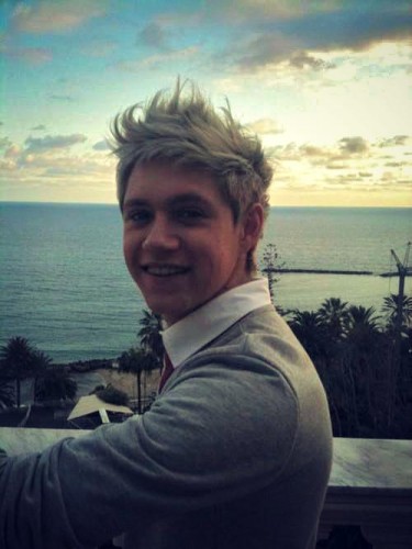 Niall Horan Fotoğrafları 2