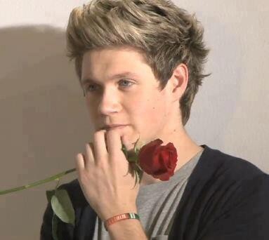 Niall Horan Fotoğrafı