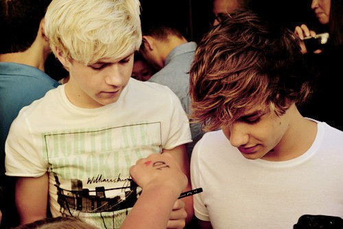 Niall Horan Fotoğrafı