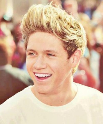 Niall Horan Fotoğrafı