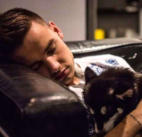 Liam Payne Fotoğrafları 36