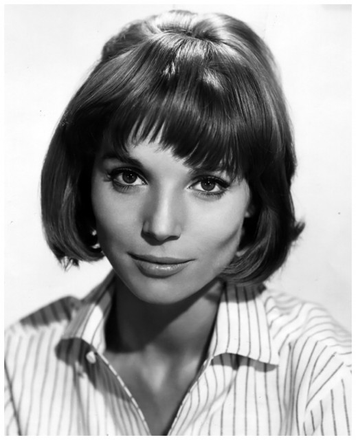 Elsa Martinelli Fotoğrafları 3