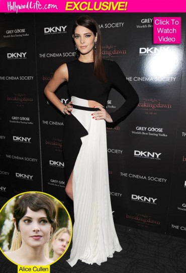 Ashley Greene Fotoğrafları 985