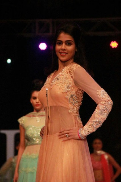 Genelia D'Souza Fotoğrafları 65