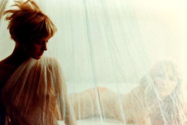 Mimsy Farmer Fotoğrafları 4