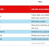 glcn55