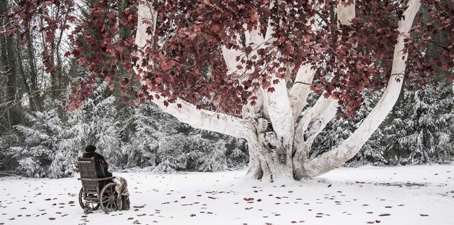 71. Emmy Ödül Töreni Aday Listeleri Açıklandı