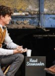 Eddie Redmayne ve Jude Law'dan, Fantastic Beasts Evreninin Harry Potter Evreniyle Olan Bağlarını Açıkladıkları Bir Video Geldi