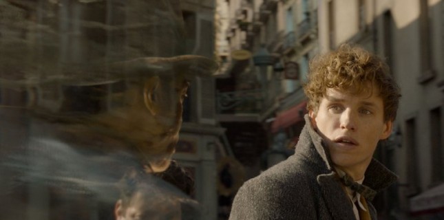 'Fantastic Beasts 3' Çekimleri Ertelendi! 'Fantastic Beasts 3' Çekimleri Ertelendi!