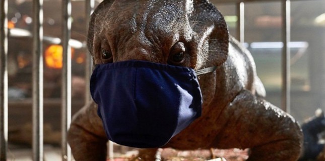 Jurassic World: Dominion Çekimleri Durduruldu