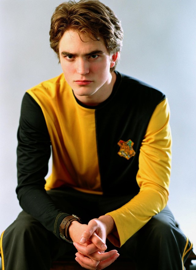 Cedric Diggory Fotoğrafları 9