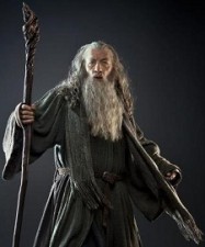 Gandalf The Grey Fotoğrafları 17