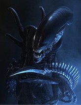 Alien Fotoğrafları 1