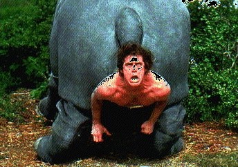 Ace Ventura fotoğrafı