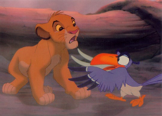 Simba fotoğrafı