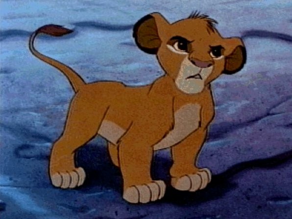 Young Simba Fotoğrafları 13