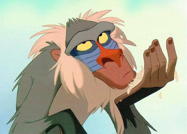 Rafiki Fotoğrafları 6