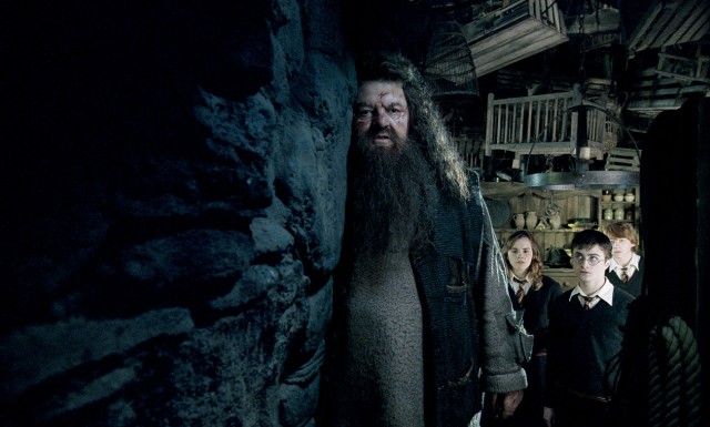 Rubeus Hagrid Fotoğrafları 1