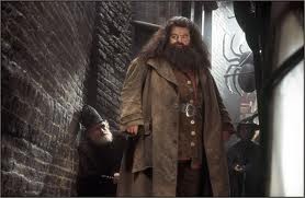 Rubeus Hagrid fotoğrafı