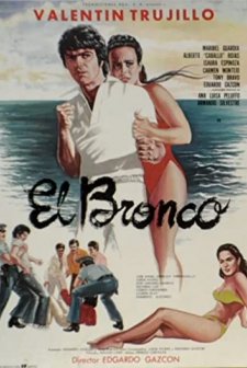 El Bronco (1982) afişi