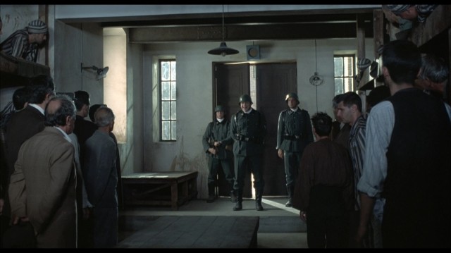 Hayat Güzeldir Fotoğrafı