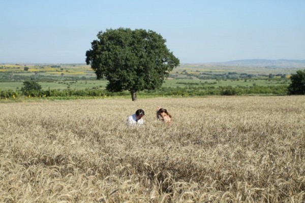Gişe Memuru Fotoğrafı