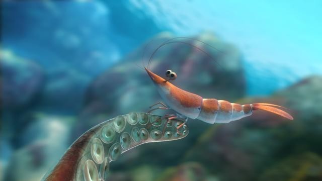 Sammy'nin Maceraları Fotoğrafı