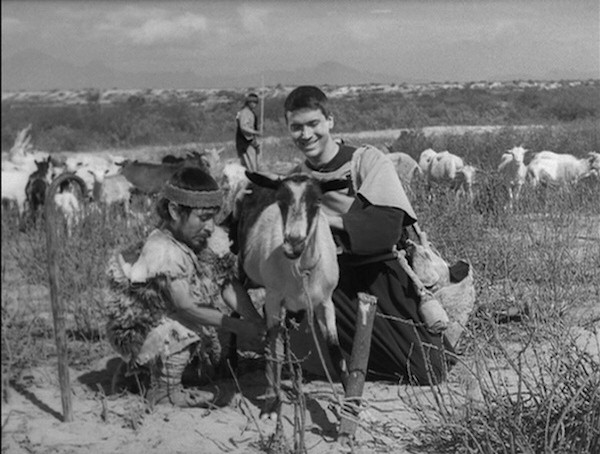 Çölün Simon'u Fotoğrafı